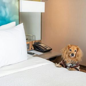 Courtyard By Marriott Mexico City Vallejo